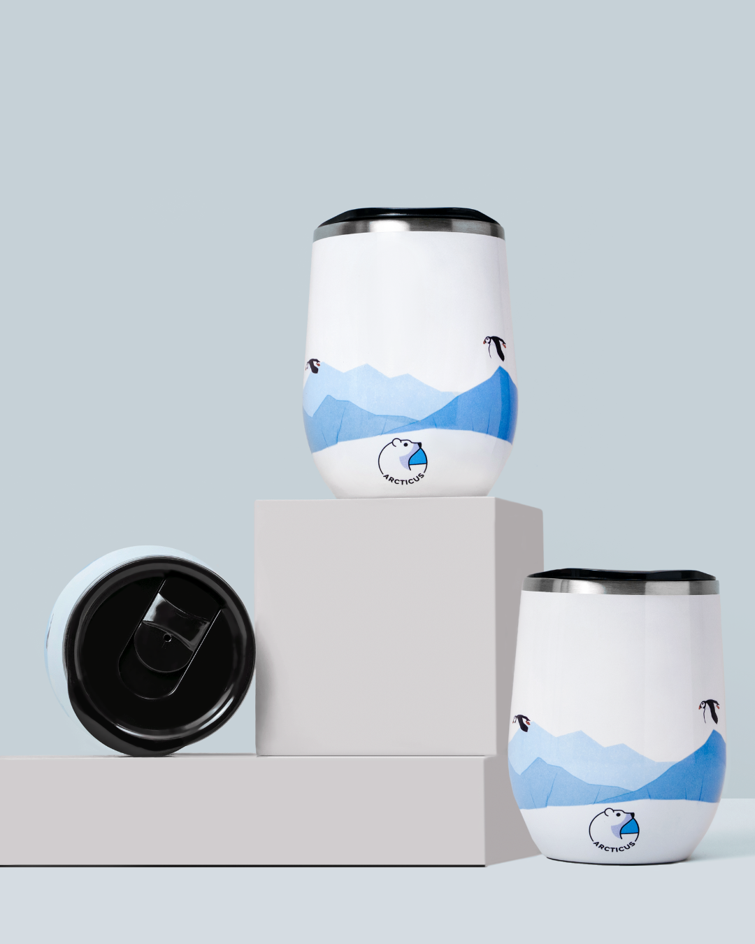 The Arctic Box