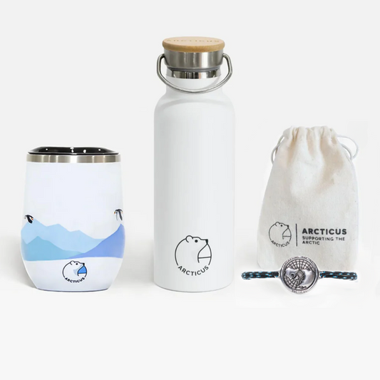 The Arctic Box